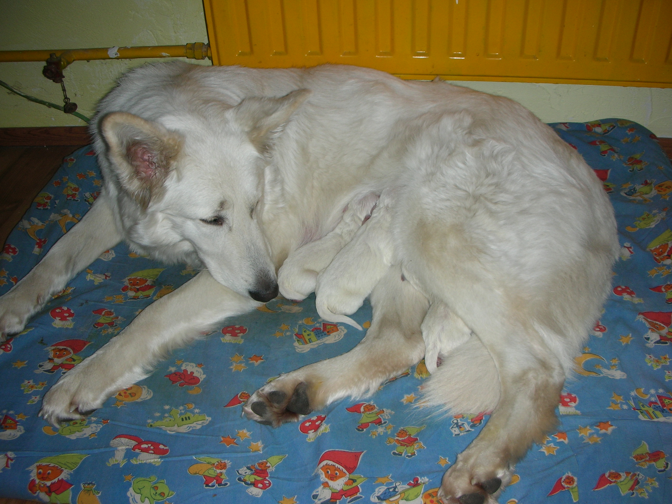 DSCN0993